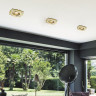 Спот NOVOTECH FLOWER встраиваемый поворотный 369825 NV-369825